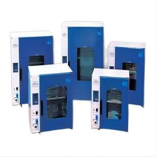 鼓风干燥箱/电热鼓风干燥箱/烘箱/恒温干燥箱