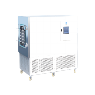 LGJ-200G标准型冻干机