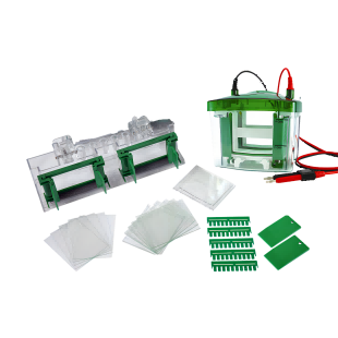 (蛋白)垂直电泳槽