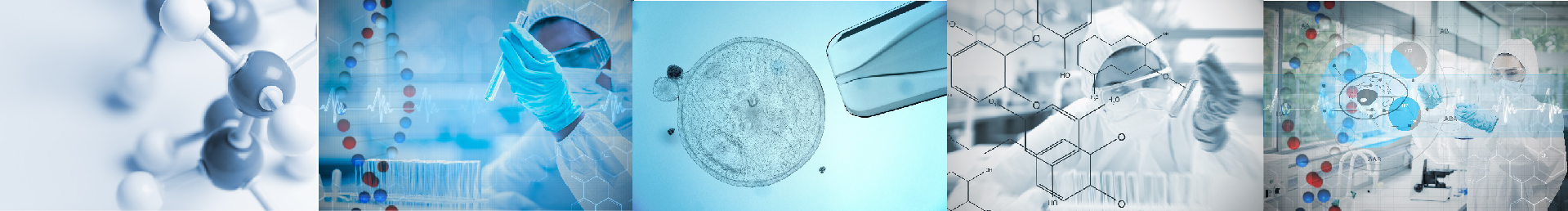 1718259985936432.png 图片19.png