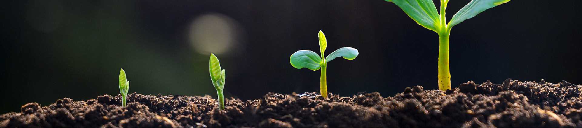 1718263594144150.png 图片20.png