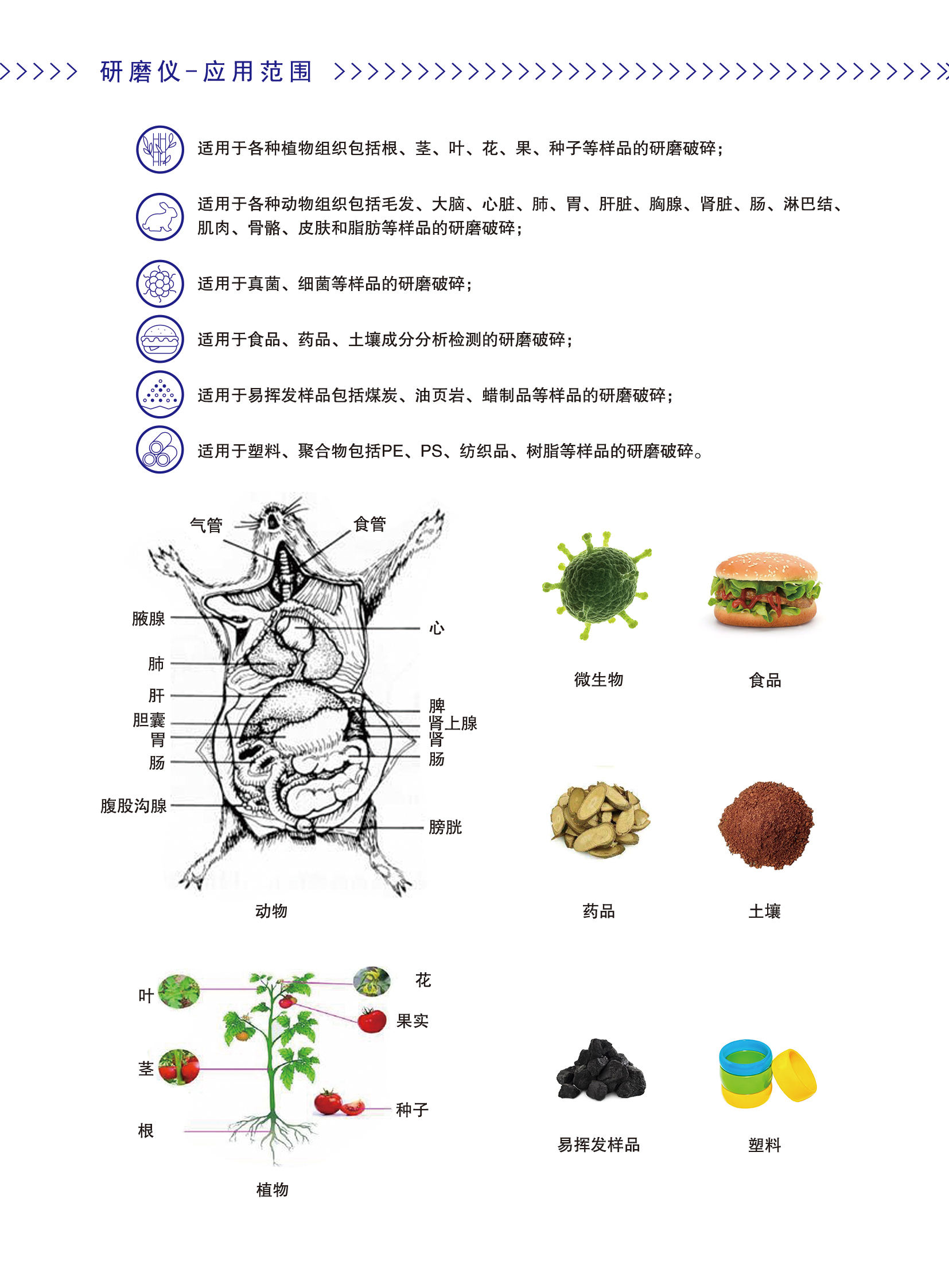 1718265180137657.png 图片23.png