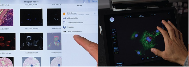 1726890296170445.png 图片5.png