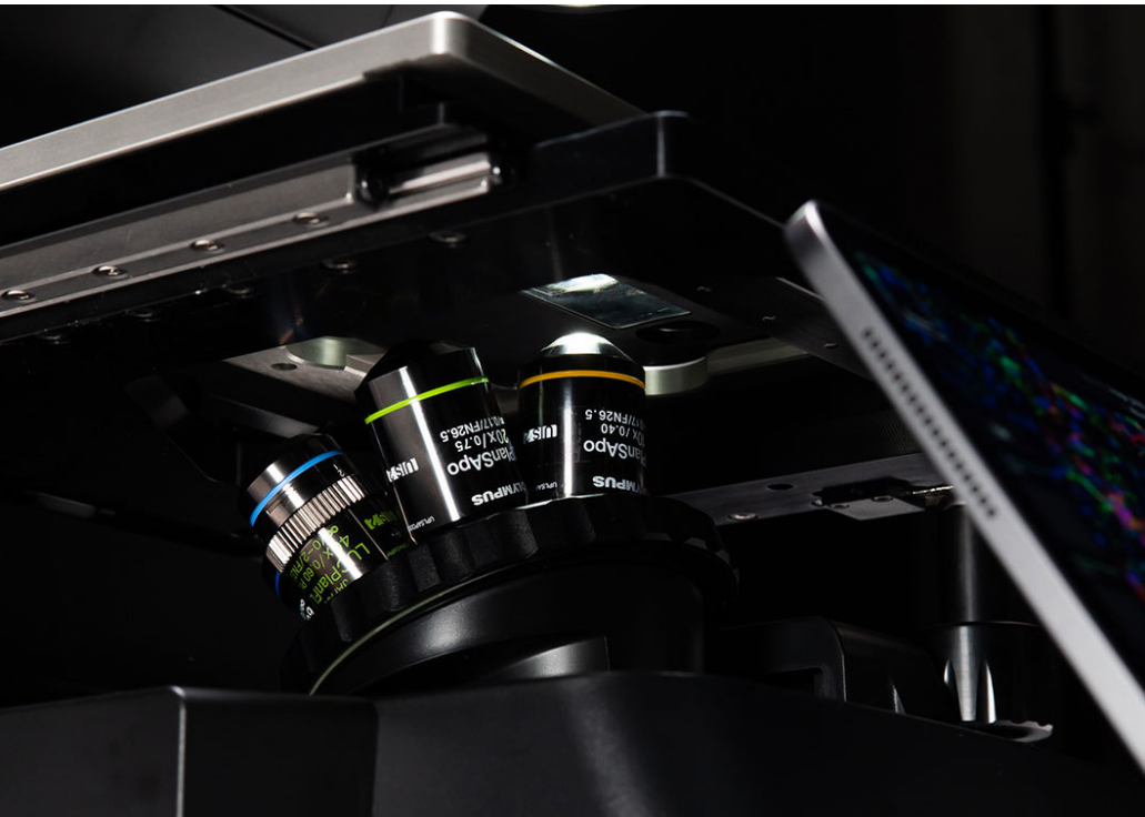 1726890314124329.png 图片7.png