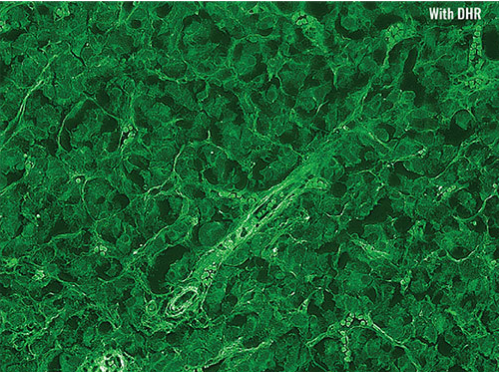 1726890322665188.png 图片8.png